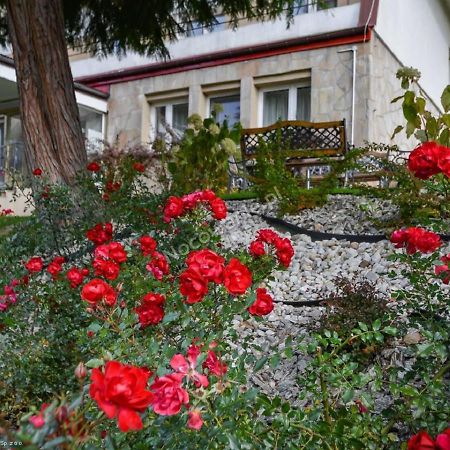 Dom Wczasowy Sokolica Krynica-Zdrój Exterior foto