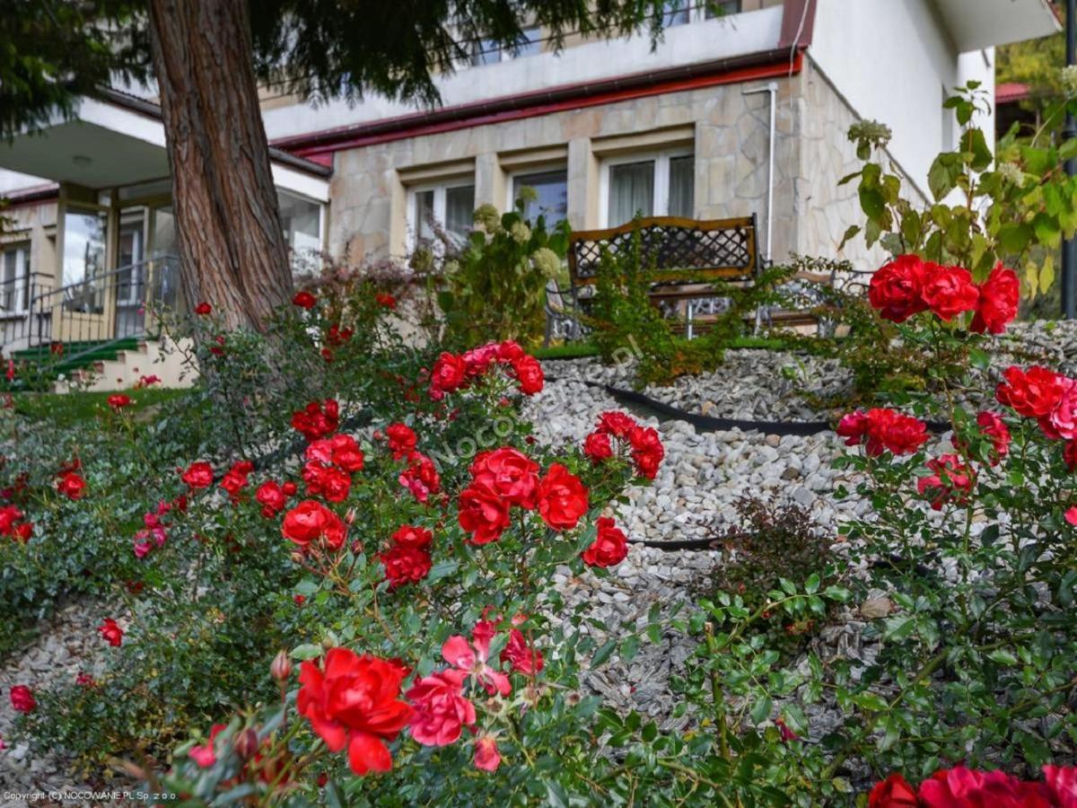 Dom Wczasowy Sokolica Krynica-Zdrój Exterior foto